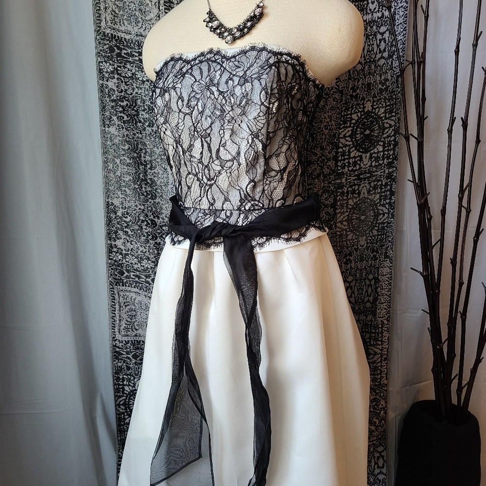 WHBM...STUNNING DRESS